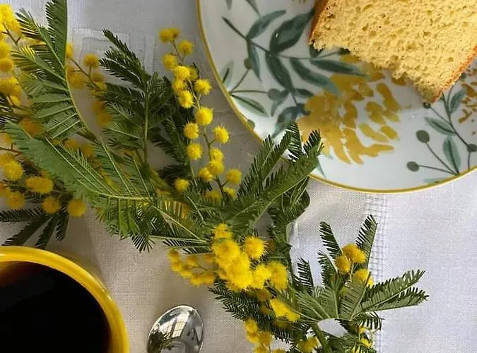 Nature ゲストハウス *